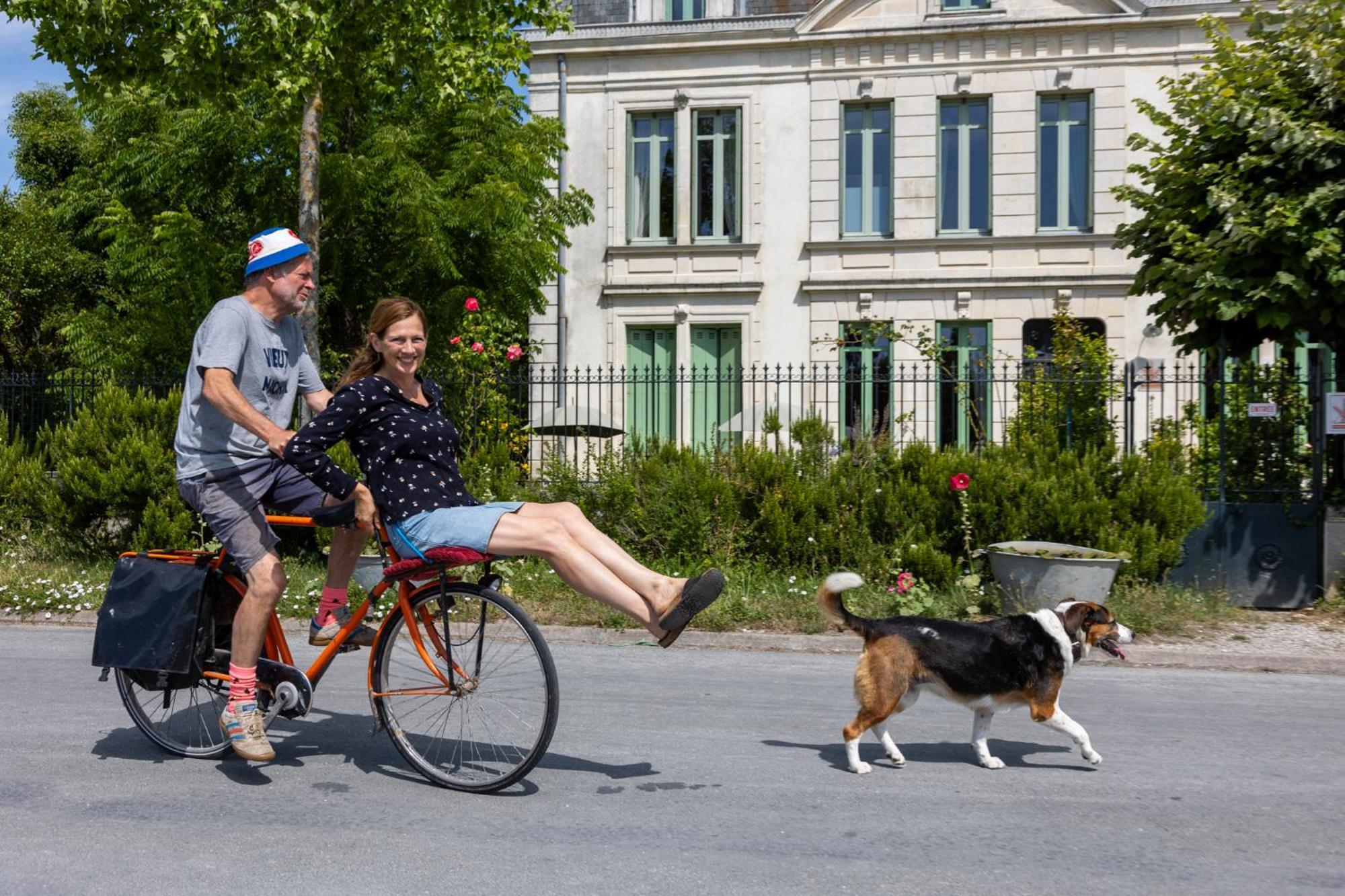 Le Domaine Du Meunier Hotel Mortagne-sur-Gironde Eksteriør billede