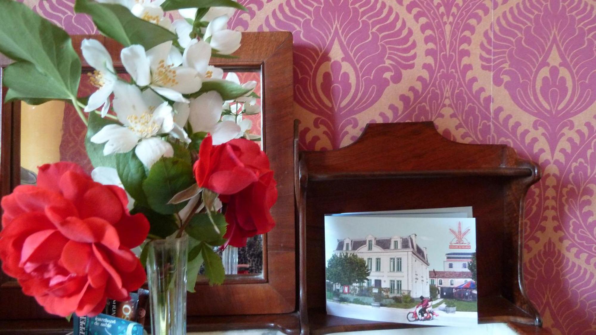 Le Domaine Du Meunier Hotel Mortagne-sur-Gironde Værelse billede